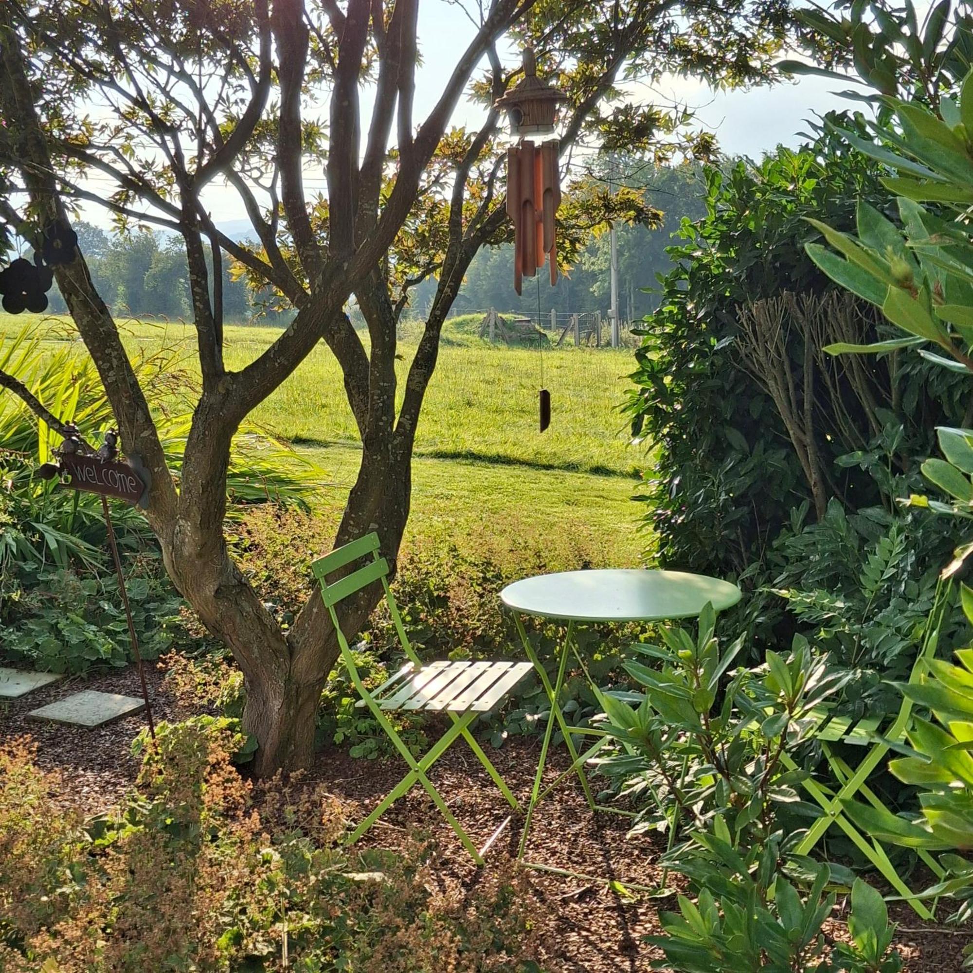 特鲁瓦蓬Le Renard'Or住宿加早餐旅馆 外观 照片