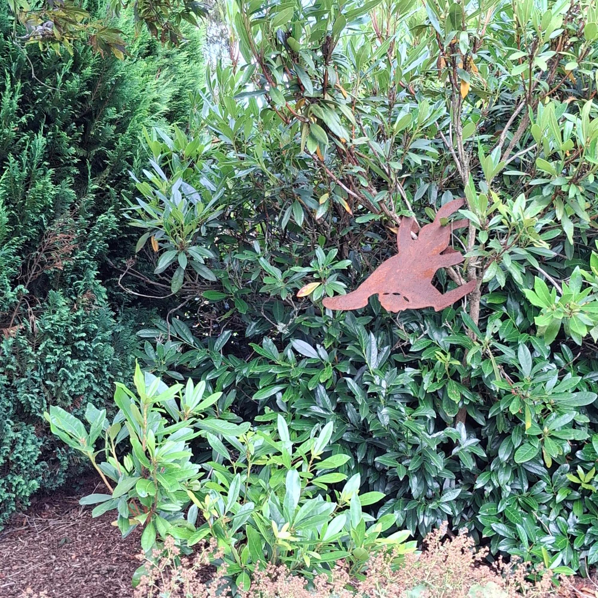 特鲁瓦蓬Le Renard'Or住宿加早餐旅馆 外观 照片