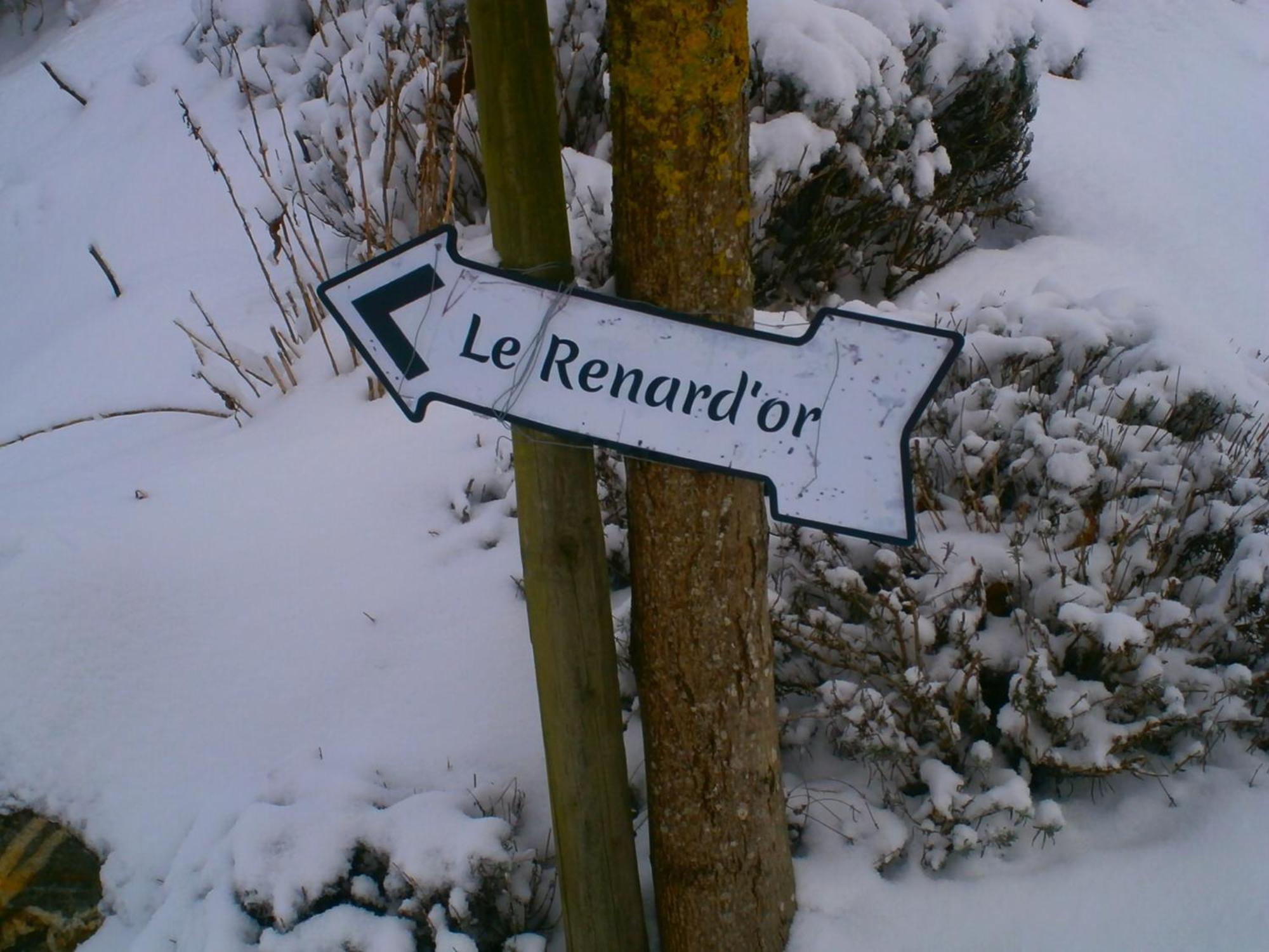 特鲁瓦蓬Le Renard'Or住宿加早餐旅馆 外观 照片