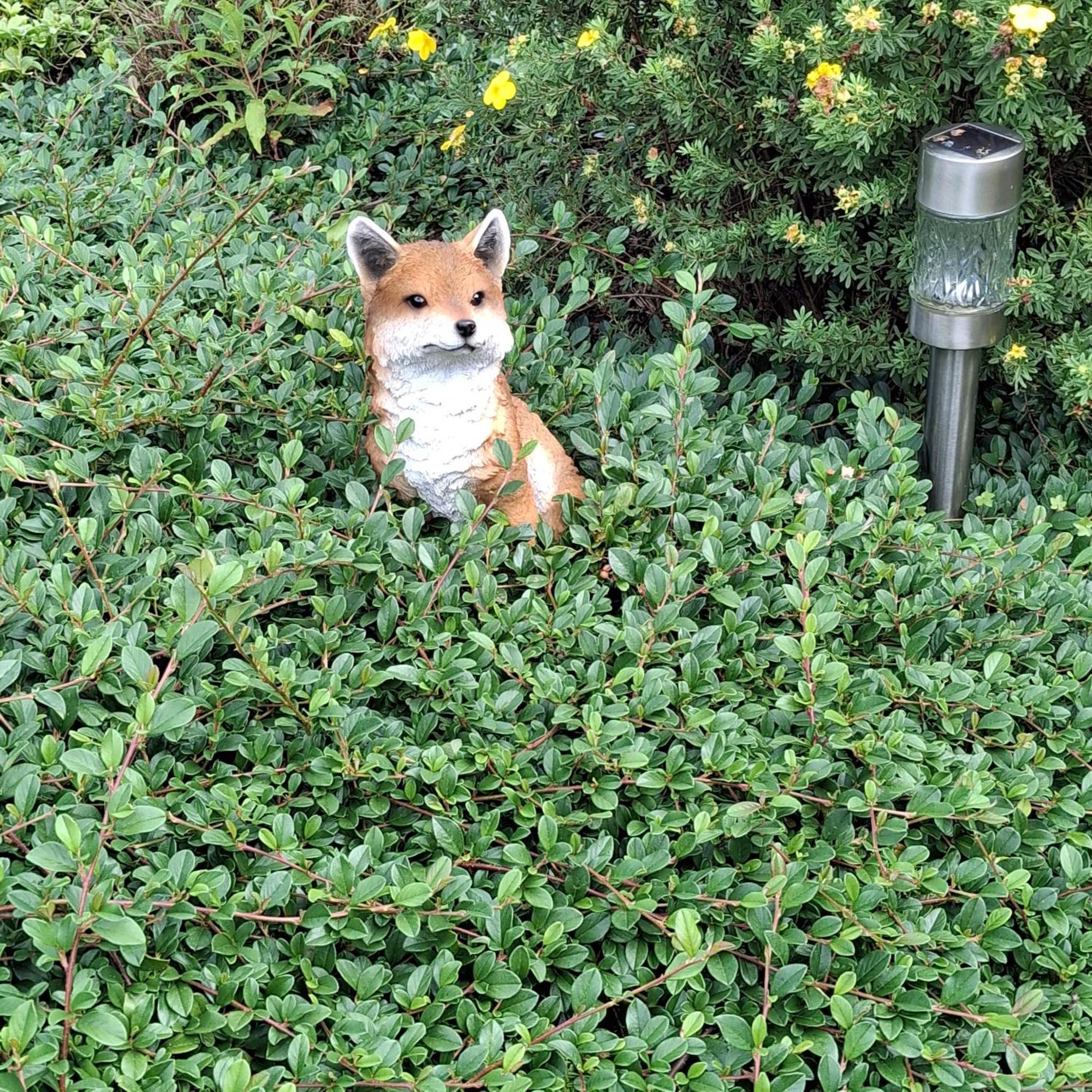 特鲁瓦蓬Le Renard'Or住宿加早餐旅馆 外观 照片